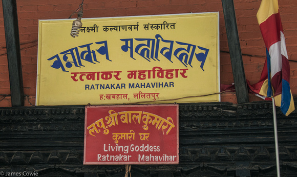 This is the name of the current living Goddess of Lalitpur City.