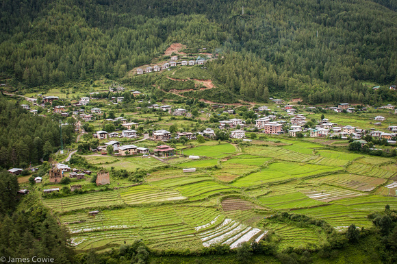 A view of the rice fields as we headed up the mountain to start our hike.
