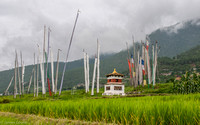 Prayer flags, and rice field.s
