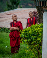 Curious monks coming round the corner.