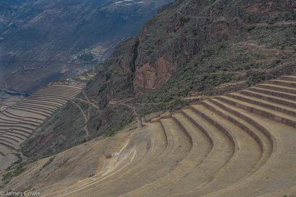 The rows of farmland, looking down from the Inka Village.
