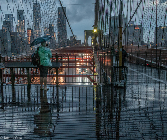 Reflections with Susan Brooklyn Bridge