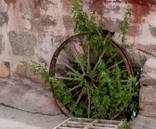 An old wheel leaning agains the wall.