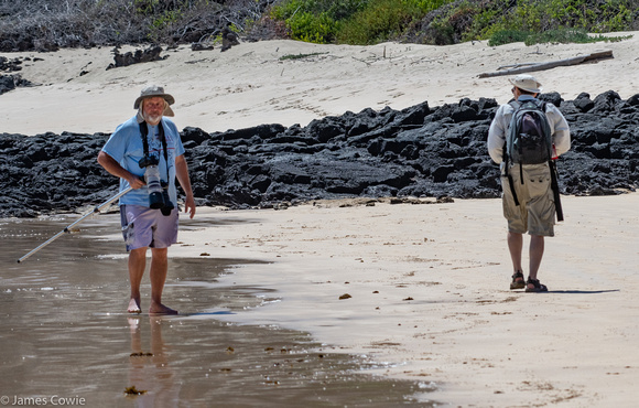 Claude and Norm on the beach photographing the sea turtles.