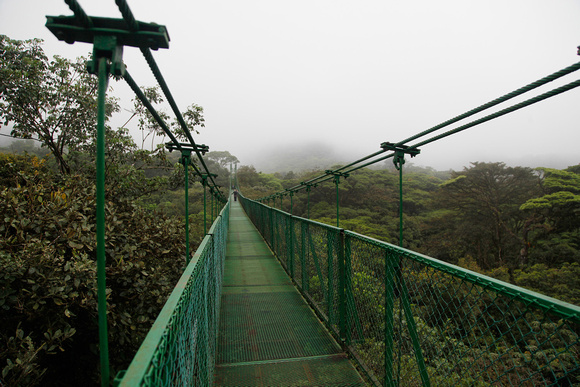 The mist shrouds a hanging bridge pathway