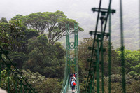 Hanging bridge into the Cloud Forest