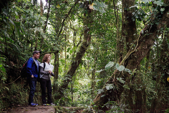 Norm and Beth look into the Cloud forest.