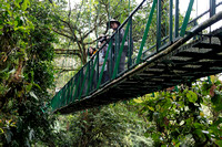 Trekkers on a hanging bridge taking in the sights.
