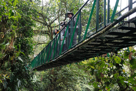 Trekkers on a hanging bridge taking in the sights.
