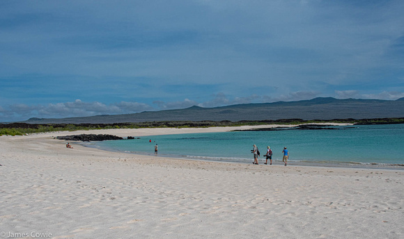 Another view of the white sand beach of the Island.