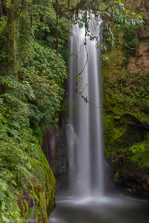 La Plaz Waterfalls, Costa Rica rainforest. Image by Ralph Bridgland.