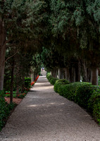 One of the many garden pathways.