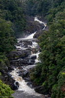 Water falls through Ranomafana National Park.